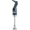 PADERNO WORLD CUISINE Mixer Mp 240 VV inox plastica h cm 24 Kg 1,4 270W