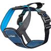 Company of Animals Pettorina CarSafe per la sicurezza canina testata con crash test, certificata fino a 32 kg, mette in sicurezza il cane in auto, design con imbottiture comode (Taglia M)