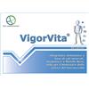 EDP LABORATORIES Srls VIGORVITA 30CPS