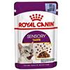 ROYAL CANIN GATTO UMIDO SENSORY TASTE (sapore) BOCCONCINI IN GELATINA 85 G BUSTINA SINGOLA