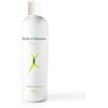 Asha International Olio Body To Body - 500 ml