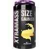 ANDERSON XTRA MASS SIZE GAINER 1,1 KG Vaniglia