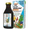 SALUS HAUS GMBH & CO KG Salus Floradix Kindervital Fruity Formula Integratore 250 Ml