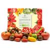 growgreens BIO Kit di semi di pomodoro con 10 varietà - Set di semi di pomodori da piantare biologico ideale per terrazza, balcone e giardino