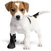 Grande Finale Calzini protettivi e recupero per cani, gatti, traspiranti, 100% softshell, chirurgici, protezione delle ferite, anti-leccamento. T. 4 (L)-8 cm (3,1 pollici), altezza 18 cm, nero