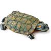 Exo Terra Isola galleggiante Tartaruga 300 g