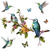 WandSticker4U®- adesivi murali 5x COLIBRÌ SUL RAMO (89x50 cm) I impermeabile piastrelle murales adesivi parete giungla uccelli colorato tropici I Decorazione soggiorno camera letto cucina