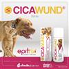 SHEDIR PHARMA CICAWUND® SPRAY ShedirPharma® 125ml
