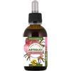 SPAZIO ECOSALUTE Ecosalute Artiglio Del Diavolo Tintura Officinale 50ml