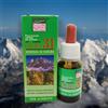 NATUR-FARMA Srl Miscela Oli 31 Erbe Grado Alimentare 15ml