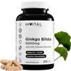 HIVITAL foods Ginkgo Biloba 6000 mg. 210 capsule vegane per 7 mesi di trattamento. | Il miglior estratto naturale concentrato 50:1 con il 24% di flavonoidi e il 6% di terpeni. Prodotto in Europa da HIVITAL
