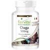 Fairvital | Chaga 500mg - 1 mese - VEGAN - alto dosaggio - 90 capsule - Inonotus obliquo -fungho in polvere