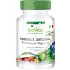 Fairvital | Tamponata Vitamina C come magnesio ascorbato - BULK per 8 mesi - VEGAN - 240 compresse - facile digestione