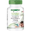 Fairvital | Estratto di Muira Puama 500mg - fornitura per 1 mese - VEGAN - alto dosaggio - 90 capsule