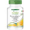 Fairvital | Tarassaco radice estratto 500mg - 45 giorni - VEGAN - alte dosi - 90 capsule - concentrato 10 volte