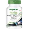 Fairvital | Capsule di estratto di valeriana - ALTO DOSAGGIO - 500 mg di estratto di radice di valeriana 4:1 per capsula - VEGAN - Valeriana Officinalis - 90 Capsule