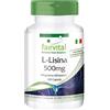 Fairvital | L-Lisina 500mg - Per 3 mesi - Alto dosaggio - 100 Capsule - L-Lisina cloridrato