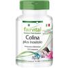 Fairvital | Colina più Inositolo - MASSA per 100 giorni - VEGAN - alto dosaggio - 100 compresse