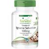 Fairvital | Wild Yam estratto 500mg - MASSA per 3 mesi - VEGAN - alto dosaggio - 90 capsule - standardizzato al 20% diosgenina