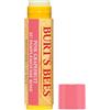 Burt's Bees Balsamo per le labbra, Pompelmo rosa, 1 pezzo