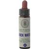 farmaflor Rock Water Nr. 27 Princeps Fiori di Bach 27 Gocce Acqua di Roccia