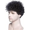 MEIRIYFA Parrucca da uomo Corta Ricci Ondulati Parrucche - Parrucca Cosplay per maschio Quotidiano Costume Partito (Nero)