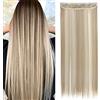 SEGO Extension Clip Capelli Lisci Fascia Unica 65cm Hair Extensions Sintetiche Lisce 120g - Biondo Cenere e Biondo Chiarissimo