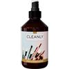 Cleanly Detergente Pennelli Make Up (250ml) - Spray Senza Alcool ad Asciugatura Rapida - Rimuove Residui di Trucco in Pochi Secondi, Delicato su Pennelli e Spugne, Non Lascia Aloni