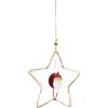 Bizzotto Pendaglio Harmonie Stella C-babbo 15x15 h cm