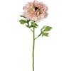 Gasper Ranunculus mix Rosa 46 cm