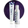 Pop Italy Soielixir Tinta Permanente per Capelli in crema SENZA Resorcina, Parafenilendiammina e Ammoniaca 93 Colori - 100 ml - (Pack Tinta + Ossigeno 10 vol. - 6/20 Biondo Scuro Viola)