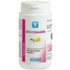 LABORATOIRE NUTERGIA Ergyonagre 60 Capsule Molli
