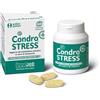Innovet Condrostress+ Integratore Per Osteoartrite Cani 60 Compresse Masticabili