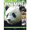 Vega Edizioni La grande enciclopedia illustrata degli animali. Le incredibili meraviglie del regno animale. Libri per sapere