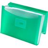 Oxford, Raccoglitore a fisarmonica A4+, coperchio in plastica traslucida, 13 tasche, colore verde