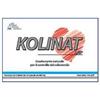 LEADER NATURAL PHARMA Srl KOLINAT 30CPS 14,4G