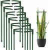Norhogo Gabbia Pomodori, Supporto per Piante Rampicanti, 12 Pezzi Semicircolare Sostegni da Giardino per Piante per Piante per Fiore, Rosa, Pomodori, Ortensia 9,8 x 5,5 pollici, Giglio