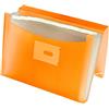 Oxford, Cartellina portadocumenti Accorisarmonica A4+, copertina plastica trasparente, 13 tasche, colore arancione