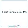 Direos sas Ficus Carica 50ml Mg
