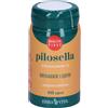 ERBA VITA PILOSELLA 60 CAPSULE