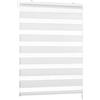 Victoria M. Tenda a Rullo Doppia Giorno e Notte, Per Porte e Finestre, Montaggio a Parete e Soffitto, 80 x 230 cm, Bianco