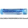 Boiron Calcarea Phosphorica 9ch 80gr