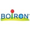 Boiron Lycopodium Clavatum 6ch 80gr