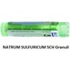 Boiron Natrum Sulfuricum 5ch 80gr 4g