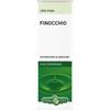 Erba Vita Group Finocchio Oe 10ml Fl