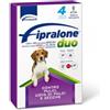 Formevet Fipralone DUO Spot-On per Cani 4 Pipette, media-10-20kg