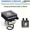 Pompa Peristaltica 0,6 L/h 230V, Ricambio per Osmosi Inversa Alimentare