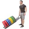HMS-ds Rastrelliera a carrello porta dischi bumpers HMS