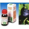 SPECCHIASOL SRL Specchiasol Mirtillo 31 tintura madre 50 ml