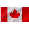 R&F srls Bandiera Canada Canadese Nazionale Tessuto Misura Standard 90 X 150 cm
